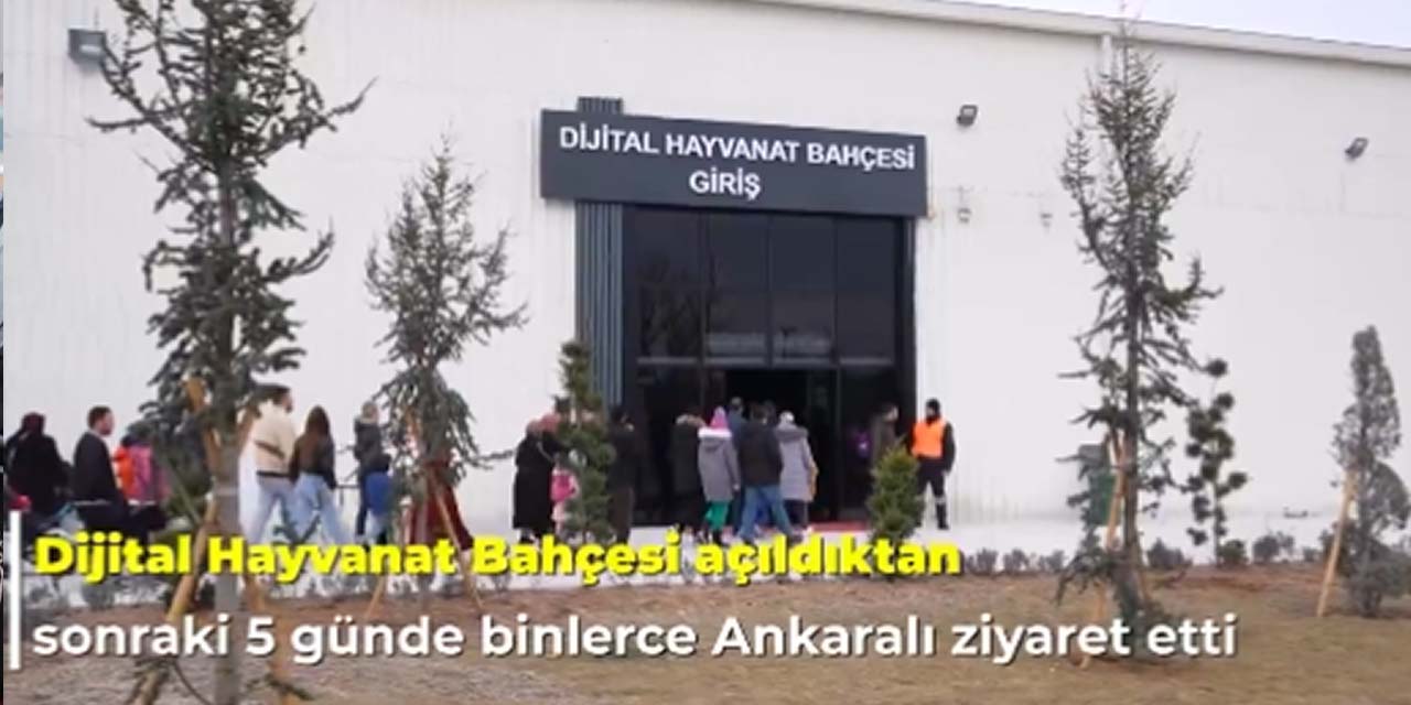 hayvanatbahcesi.jpg