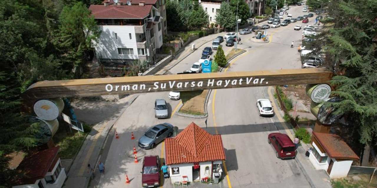 orman.jpg