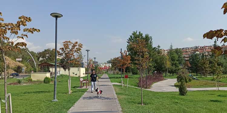 kecipark2.jpg